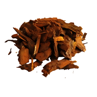 ECORCE DE PIN FRAICHE MARITIME 25/40 70L CARACT DUM