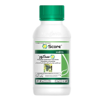SCORE 0.5L