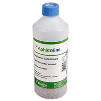 APHIDOLINE AA 1000 INDIVIDUS