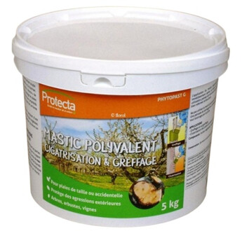 PHYTOPAST G PROTECTA