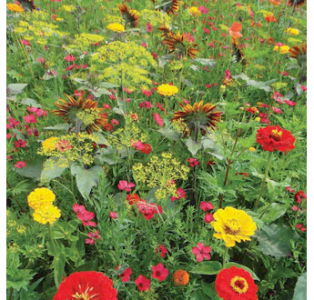 MELANGE FLEURI TONS CHAUDS 1KG