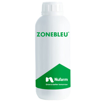 ZONEBLEU