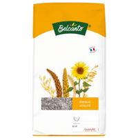 TOURNESOL STRIE PETITS GRAINS