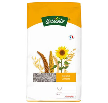 TOURNESOL STRIE PETITS GRAINS
