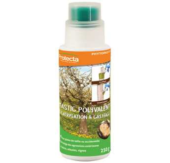 PHYTOPAST G FLACON APPLICATEUR 250G PROTECTA