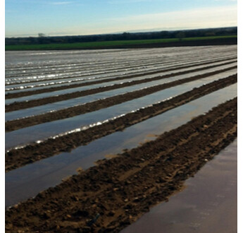 FILM PAILLAGE MARRON THERMIQUE LDT25 2000M2 2M00