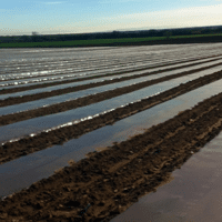 FILM PAILLAGE MARRON THERMIQUE LDT25 2000M2 1M40