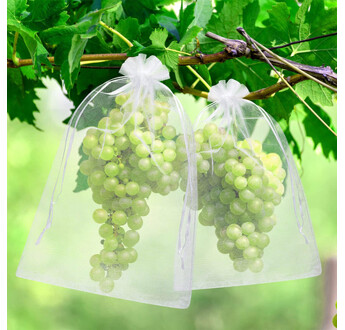 HOUSSE RAISIN 50X30 TRANSPARENT 520X160X530 PAQ, 1000