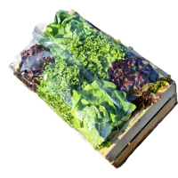 GARNITURE SALADE PERF, TRANSPARENTE ADHESIVE CARTON DE 500