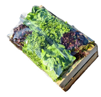 GARNITURE SALADE PERF, TRANSPARENTE ADHESIVE CARTON DE 500