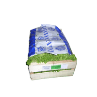 GARNITURE SALADE PERF, BLEUE ADHESIVE CARTON DE 500