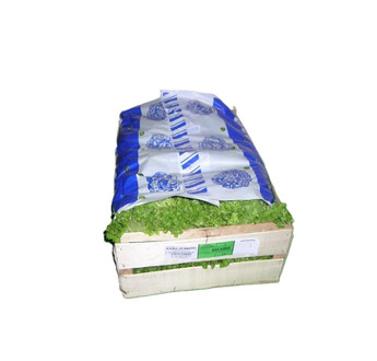 GARNITURE SALADE PERF, BLEUE ADHESIVE CARTON DE 500