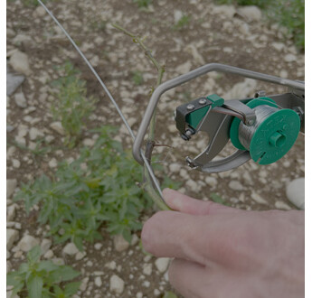 LIEUSE A VIGNE LIGATEX