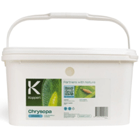 CHRYSOPA 10000 CHRYSOPERLA CARNEA SEAU 10 000 IND.