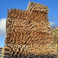 CLOTURE GANIVELLE ACACIA 1M50 X 10ML ESP 4/6CM LATTES SCIEES