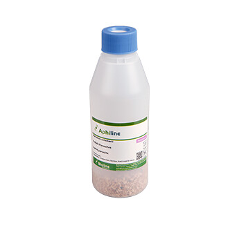 APHILINE APHIDIUS COLEMANI 30ML 500 INDIVIDUS