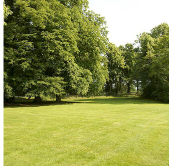 SEM. GAZON L'AVIS DU SUD 70/30 SAC15KG