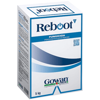 REBOOT 5KG