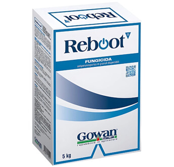 REBOOT 5KG