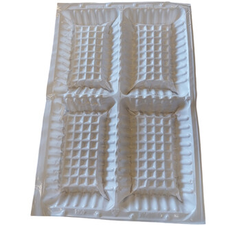 BAC INTER RAISIN BLANC 60X40 CARTON DE 400