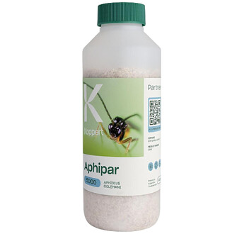 APHIPAR 5000 APHIDIUS COLEMANI FLACON DE 5 000 INDIVIDUS