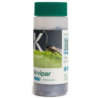 ERVIPAR 500 APHIDIUS ERVI FLACON DE 500 INDIVIDUS