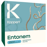 ENTONEM 2500 MILLIONS STEINERNEMA FELTIAE BOITE DE 10 X 250 MILLIONS INDIVIDUS