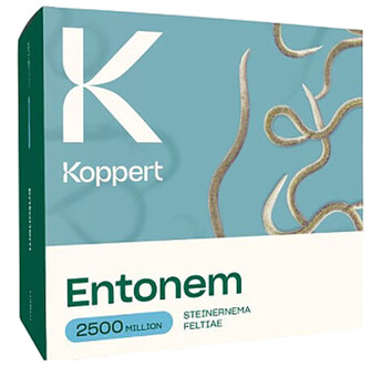 ENTONEM 2500 MILLIONS STEINERNEMA FELTIAE BOITE DE 10 X 250 MILLIONS INDIVIDUS