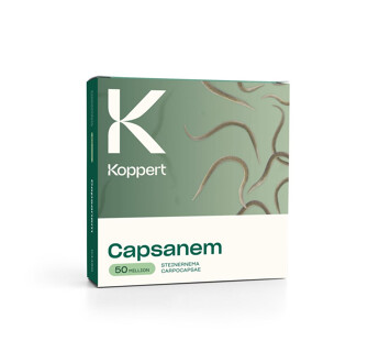 CAPSANEM 2.500 MILLIONS STEINERNEMA CARPOCAPSAE BOITE DE 10 X 250 MILLIONS IND.