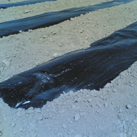 FILM PAILLAGE NOIR SP 1M60 2000M2