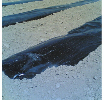 FILM PAILLAGE NOIR SP 1M60 2000M2