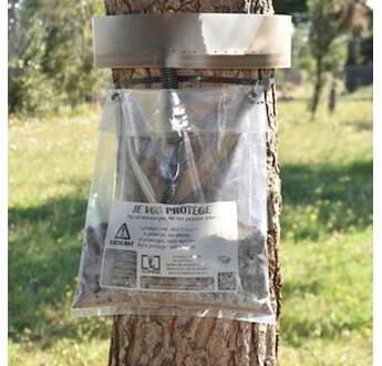 ECOPIEGE TRANSPARENT DIAM 30