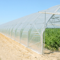 FILM SERRE POLYANE 5 TT 200MC 9M20 INC /KG