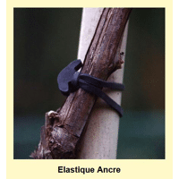 ELASTIQUE ANCRE N°8 SAC300