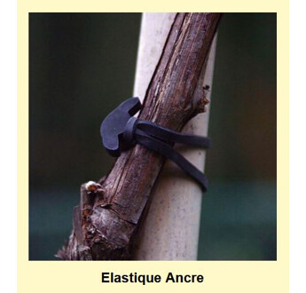 ELASTIQUE ANCRE N°8 SAC300