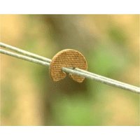 AGRAFE BOIS BIODEGRADABLE SAC5000