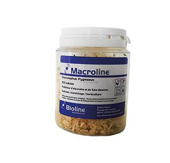 MACROLINE 250 MACROLOPHUS PYGMAEUS FLACON DE 250U