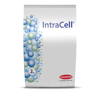 INTRACELL