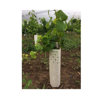 MANCHONS BIODISAC 330GR BRUN H40CM 10X10 /100