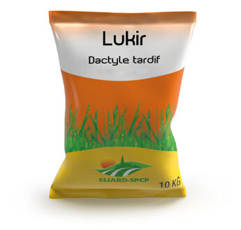 SEM. DACTYLE LUKIR SAC10KG
