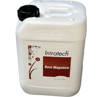 INTRATECH B MG GP