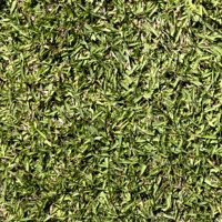 GAZON PLAQUE ZOYSIA EMPIRE AU M2
