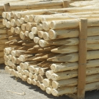 PIQUET ACACIA ROND PLANE 2M30 DIAM10/12 ECORCE POINTE