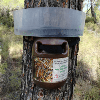 PROCESSATRAP COLLIER MARRON KIT 5 ARBRES PIEGE COLLIER (5 ARBRES DE 130 CM DE CIRCONF. MAXI)