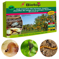 NEMATODE SF 50 STEINERNEMA FELTIAE BOITE DE 50 MILLIONS