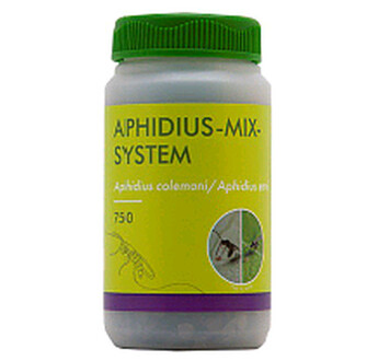 APHIDAXIS 300 (MELANGE DE 6 PARASITOIDES - TOUS PUCERON)