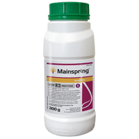 MAINSPRING 300GR