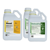 PACK GOZAI MAX GOZAI 5L+BELOUKHA 10L (1X5L+2X5L)