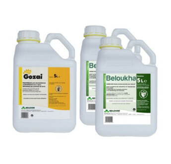 PACK GOZAI MAX GOZAI 5L+BELOUKHA 10L (1X5L+2X5L)