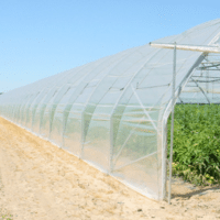 FILM SERRE POLYANE 5 TT 200MC 12M00 HALLS /KG